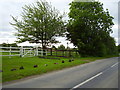 Footpath to Sedgebrook