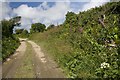 Bridleway near Relistian