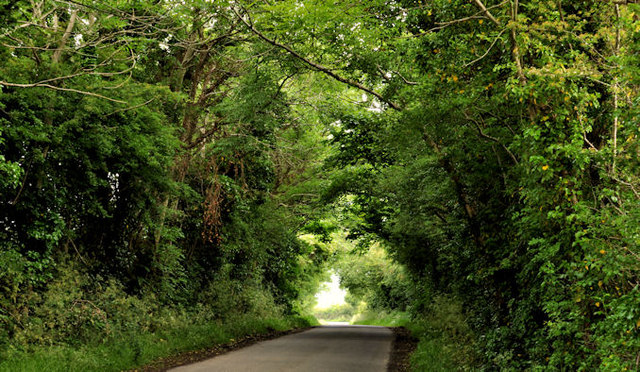 The Cunningburn Road near Newtownards (2)