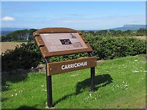 C5922 : Carrickhue Picnic Area by Don MacFarlane