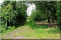 Public footpath adjacent to River Severn, Stourport-on-Severn