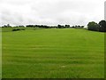 Tullanafoile Townland