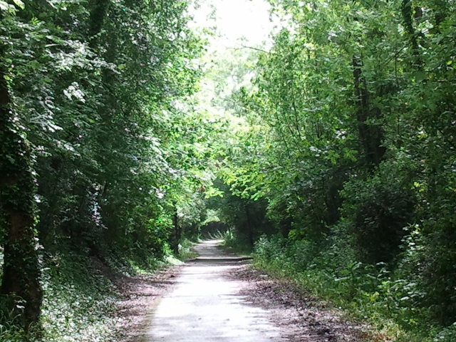 disused railway cycle routes