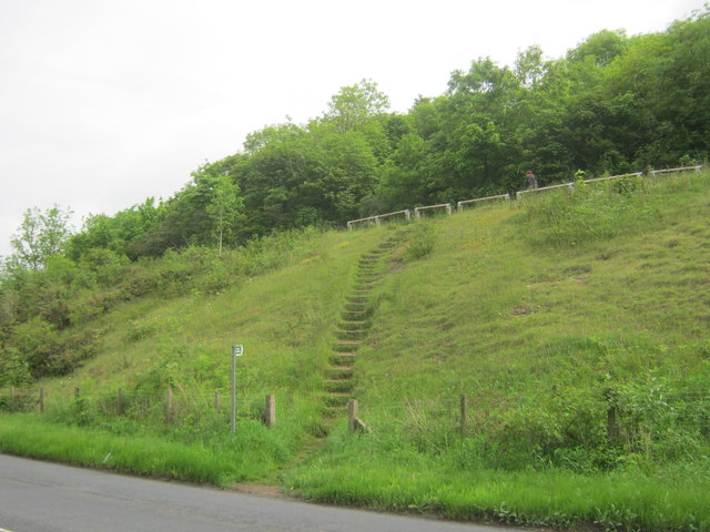 Steps for footpath to Coxhoe Bank Plantation