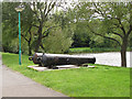 Cannon at Birchmere Lake