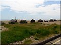 Grass and boulders, Shoreham Beach