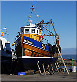 J5082 : The 'Shanrine' at Bangor by Rossographer