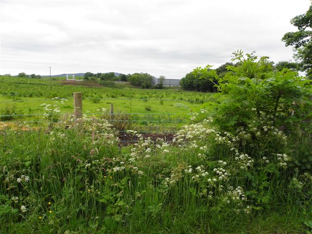 Gillygooly Townland