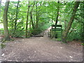 Horse stile at Sough Dike