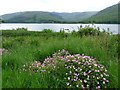 Loch Linnhe at Ach