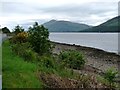 The shore of Loch Linnhe near Fort William