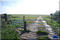 Footpath on to the Allhallows Marshes