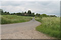 TF1578 : Road to Wire Hill Farm by J.Hannan-Briggs