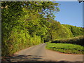 Lane to Viney Cross