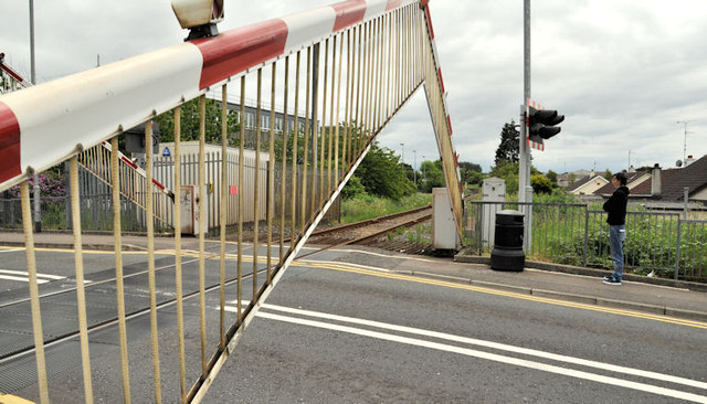 Calf  Lane level crossing, Coleraine (2)