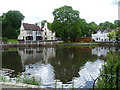 Carshalton Ponds