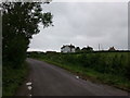 Looking west towards Godney farm and church