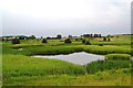 Mexborough Low Pasture