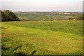 Field at Lillington Farm