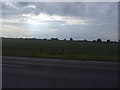 Farmland by the A10 near Melbourn