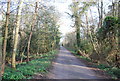 Driveway to Buxted Park