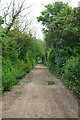 Cross Lane Bridleway