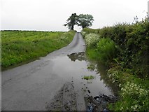 H4074 : Puddles on the country road, Gillygooly by Kenneth  Allen
