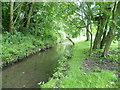 River Wandle at Richmond Green