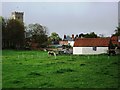 Pony paddock, Polka Road, Wells