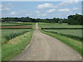 TL1266 : Track towards Agden Hill Farm (bridleway) by JThomas