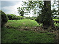 Bridleway  back  to  Thirlby  Grange