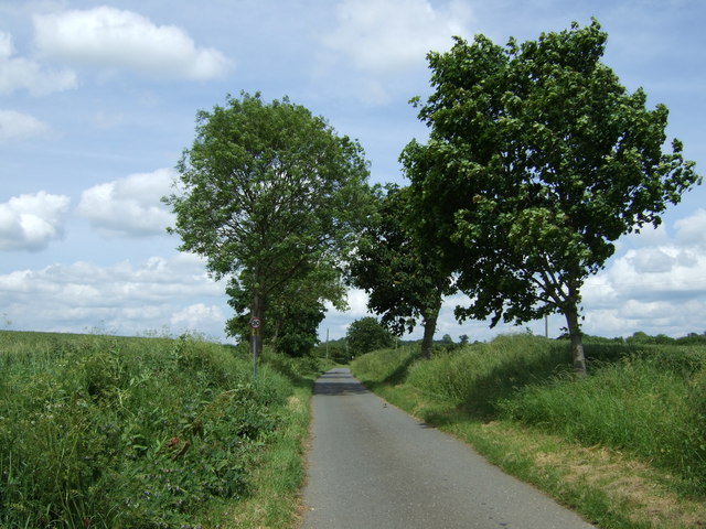 Lane heading north, Chadwell End