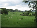 Footpath  to  Felixkirk