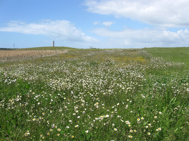 Peacehaven Wastewater Treatment Works © Simon Carey :: Geograph Britain ...