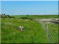 Boundary Fence and Wall