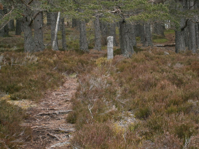 Approach to Eag Mhor from the west