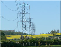 SK7111 : Electricity pylons east of Ashby Folville by Mat Fascione