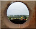 View through a plant pot!