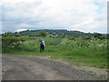 Bridleway  to  Felixkirk