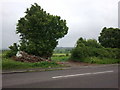 Pile of rubbish opposite the layby on Frome Road