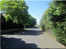 NT9951 : Cemetery Lane, Tweedmouth by Graham Robson