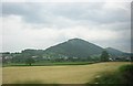 Moel y Golfa and Trewern village, from the train