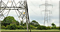 Pylons and power lines near Dundrod (1)