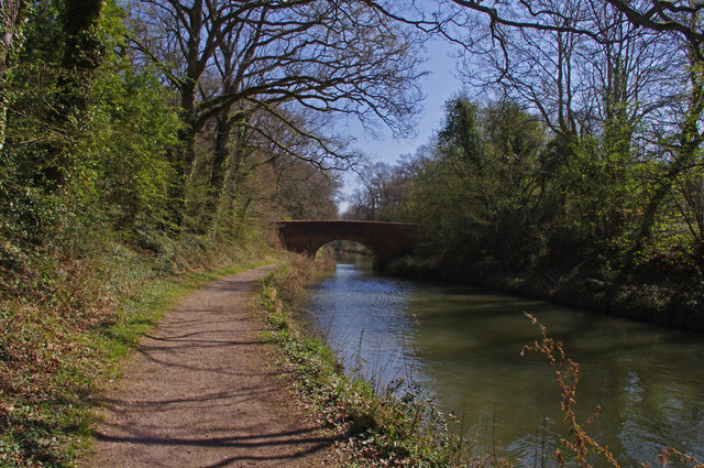 Odiham - Basingstoke Canal