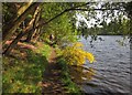 SX8183 : Tottiford Reservoir by Derek Harper