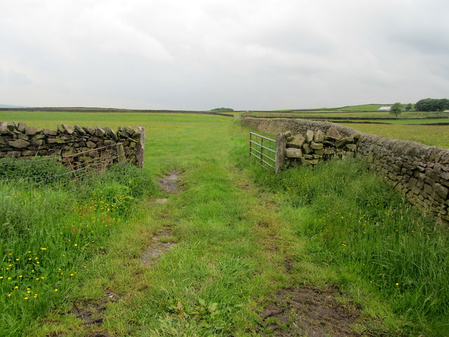 Footpath To Knarrs Hill Chris Heaton Cc By Sa Geograph Britain And Ireland