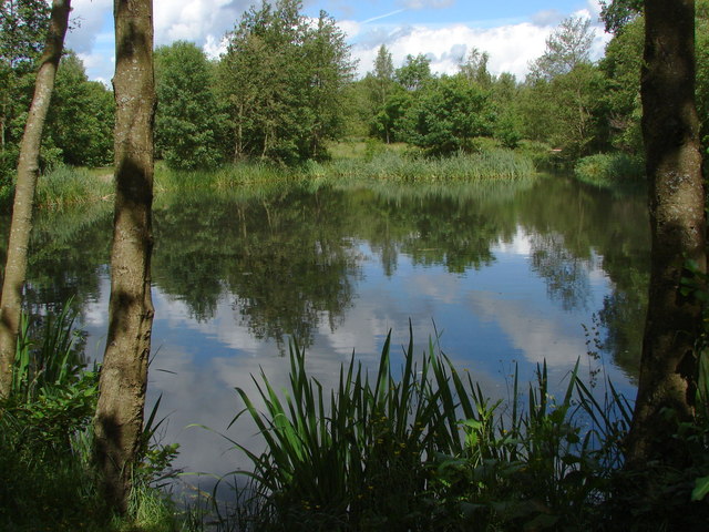 Brookwood Country Park © Alan Hunt cc-by-sa/2.0 :: Geograph ...