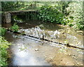 Berthin Brook, Rhadyr