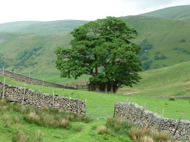 Farmer's gated route, Bannerdale