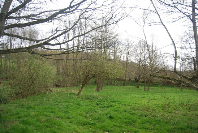 Ratsbury Wood